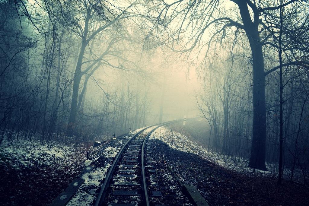 snowy railroad tracks running through a forest