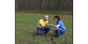 Soil Testing to Reduce Agricultural Nutrient Delivery (STRAND) will help farmers make informed decisions about nutrient applications to cropland based on soil testing, which will ultimately help improve the water quality of Lake Erie. (Courtesy of USDA via Flickr)