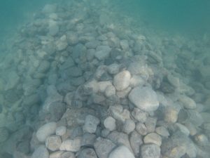Limestone cobble on the bottom of a lake
