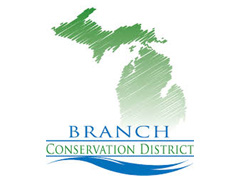 Branch CD Logo