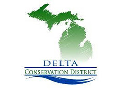 Delta CD logo