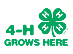 MSU Extension 4H logo