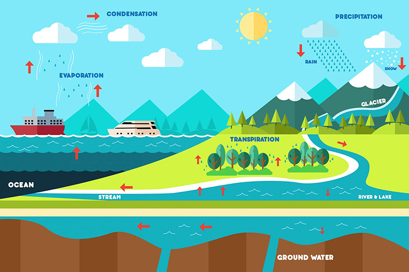 The Water Cycle Infographic