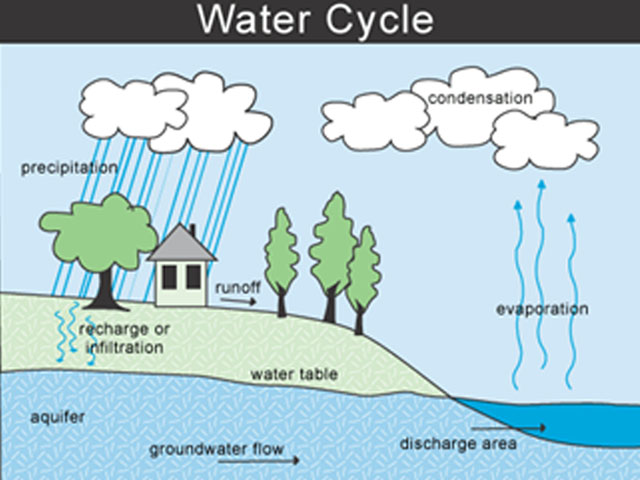 Video category image for water cycles