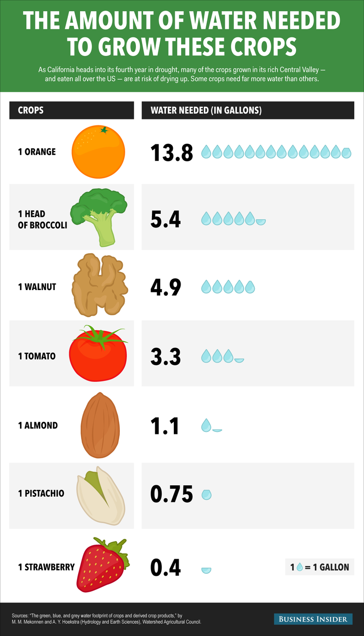 Infographic representing the amount of water needed to grow crops