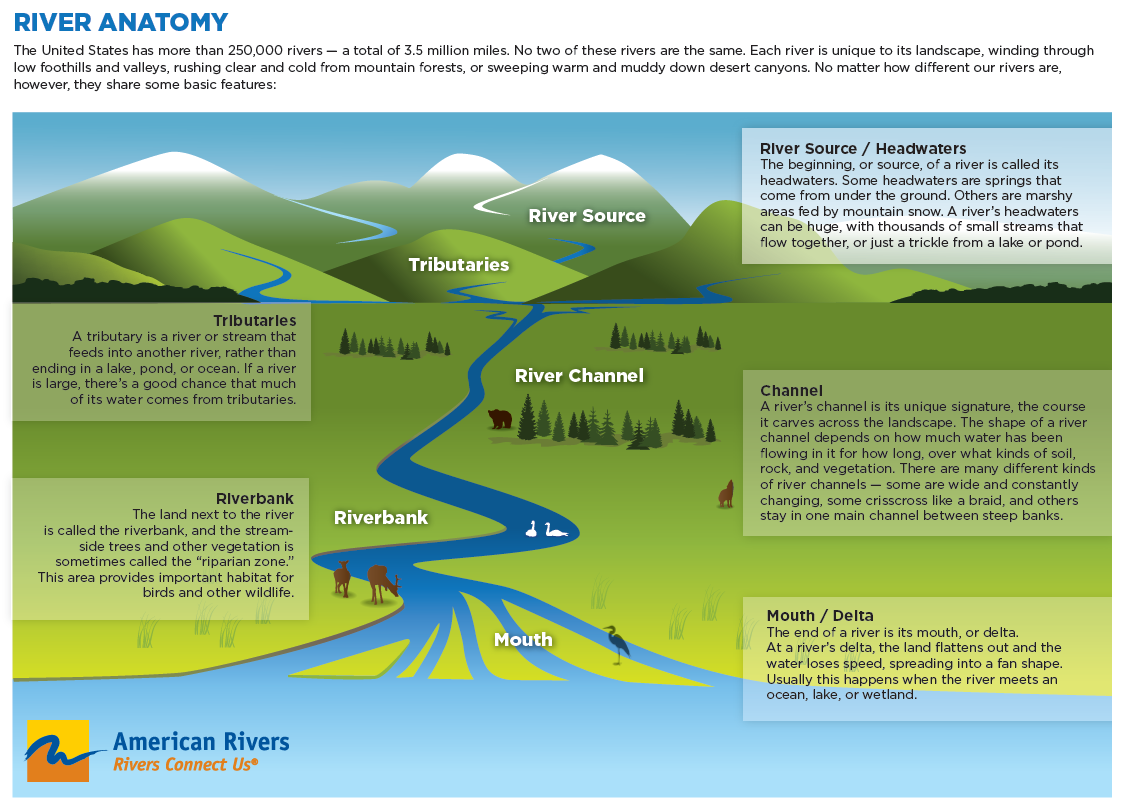 Lower than most of the. Parts of the River. River erosion diagram. Анатомия реки. Stream River.