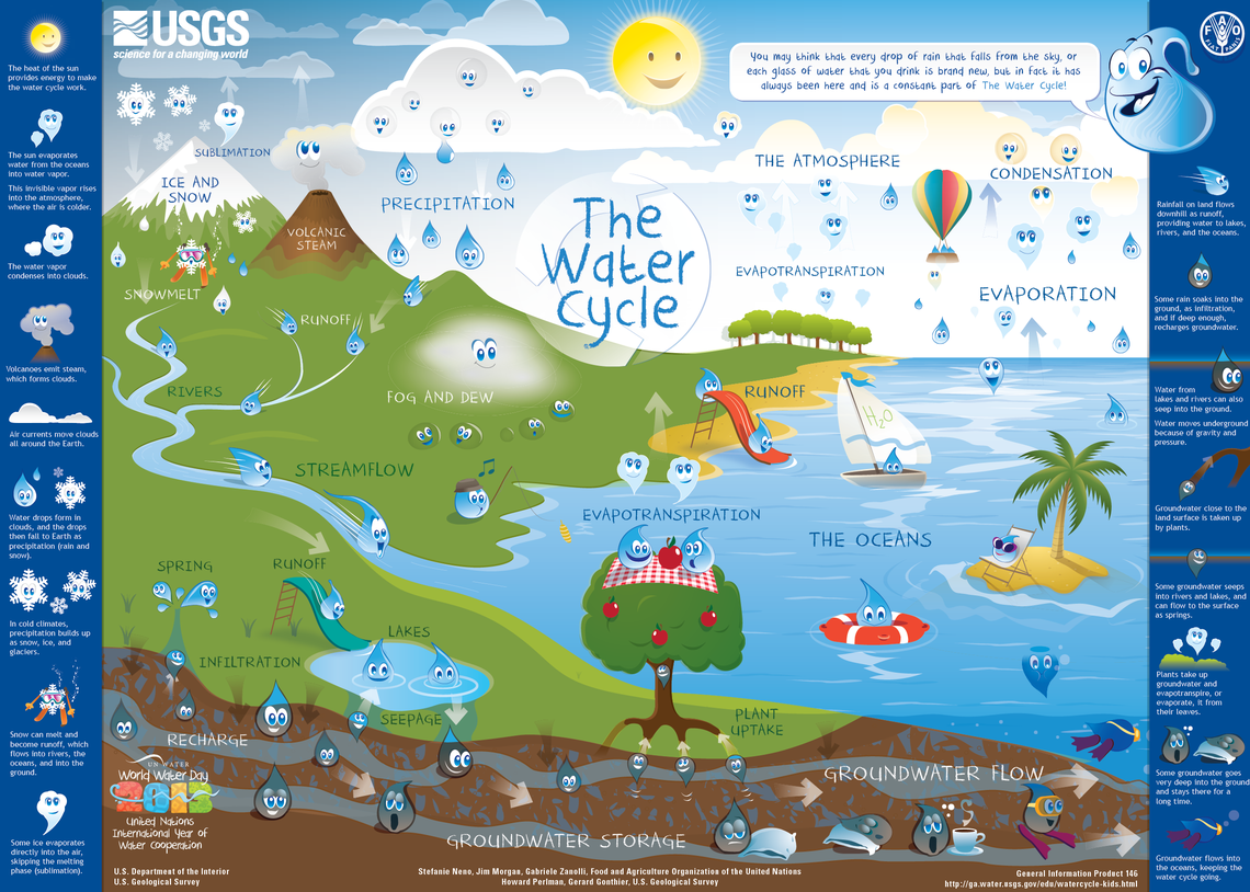 The Water Cycle for Schools and Kids