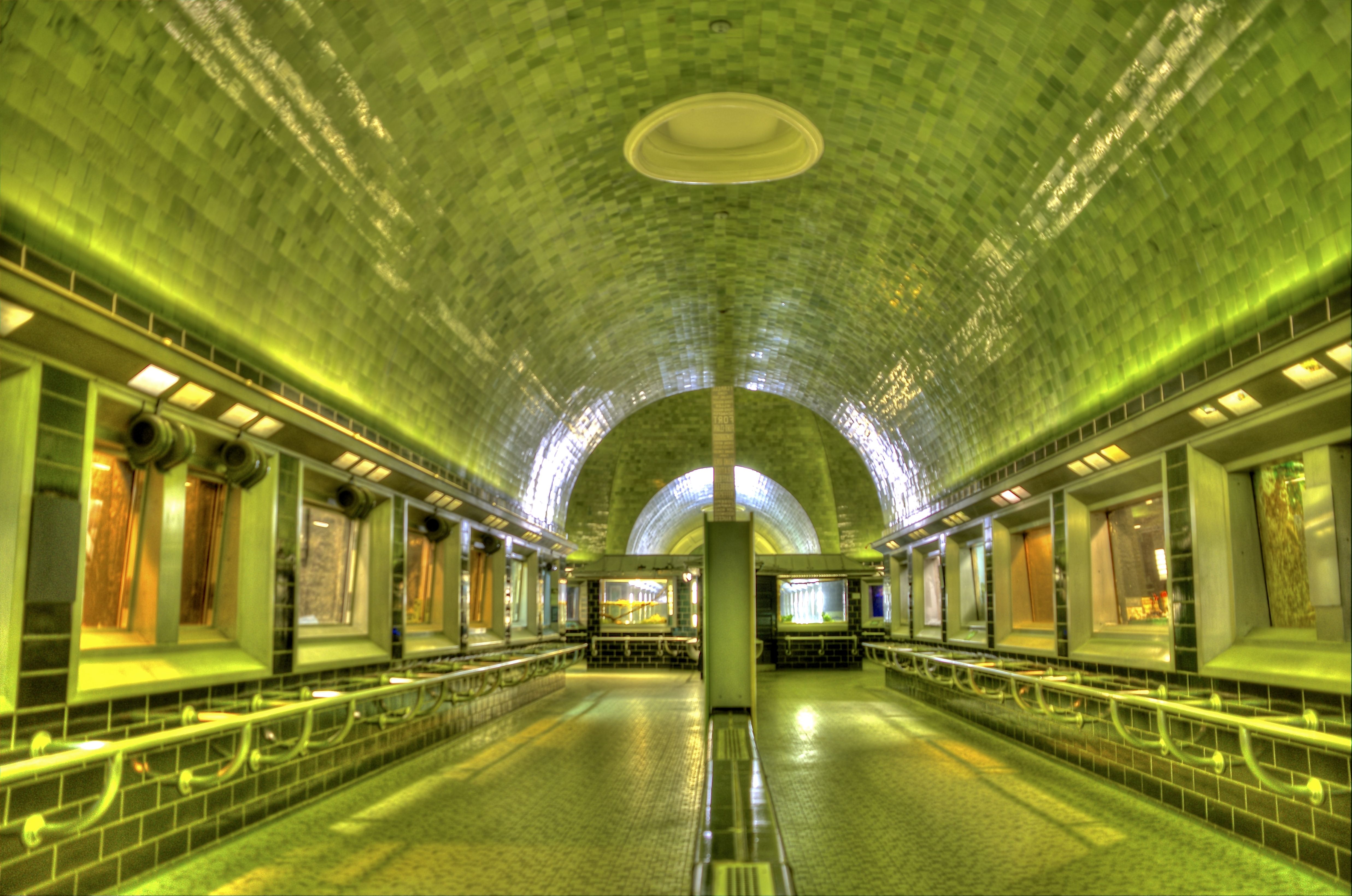 Interior photo of Belle Isle Aquarium