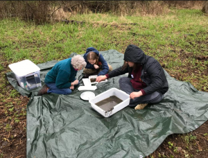 Three people sit on a tarp and examine collected samples