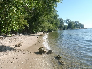 A sandy beach and shoreline with conifers in the background on a sunny day.