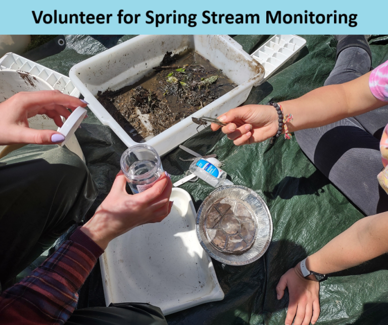 2025 Spring Stream Monitoring Identification - MI Water Stewardship